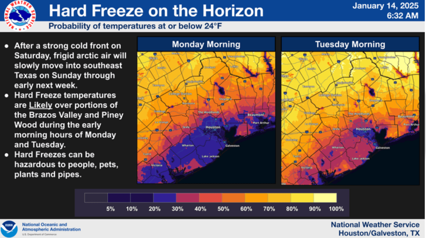 HoustonFreezeJan18